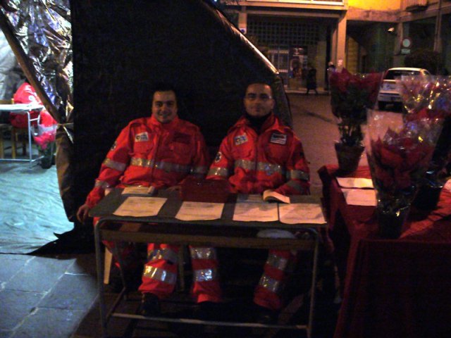 Vendita delle stelle di natale