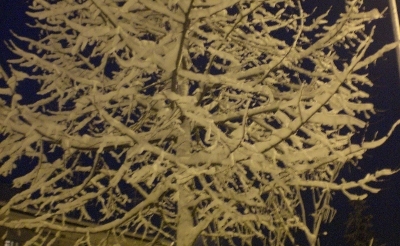 foto della nevicata a Chiaravalle