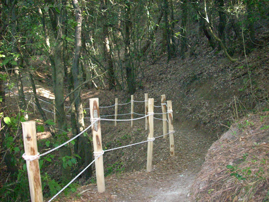 uno dei sentieri del Monte Conero